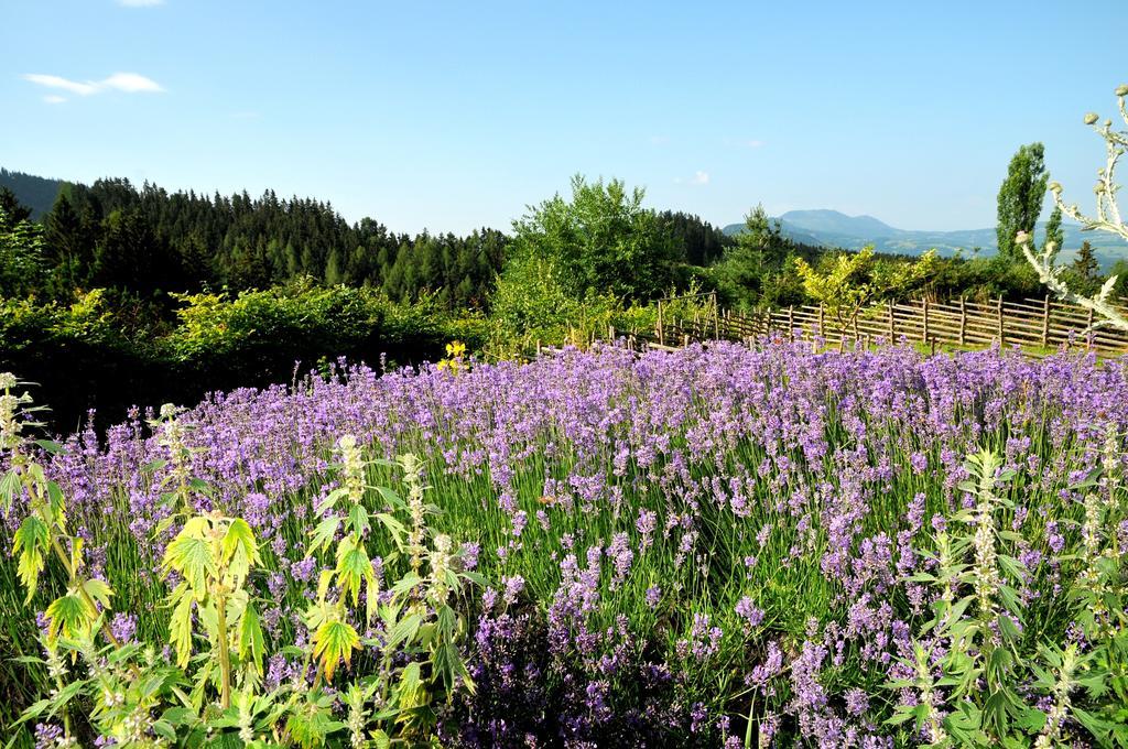 Sulamith Ferienhaus Mit Garten Sankt Kathrein am Offenegg Szoba fotó