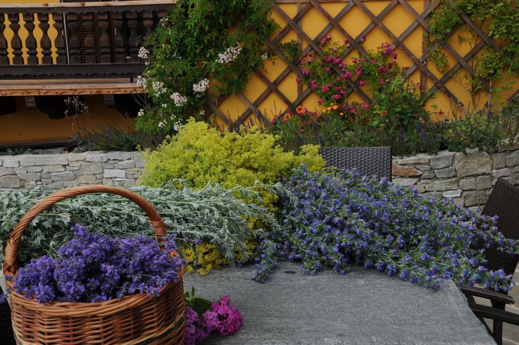 Sulamith Ferienhaus Mit Garten Sankt Kathrein am Offenegg Kültér fotó