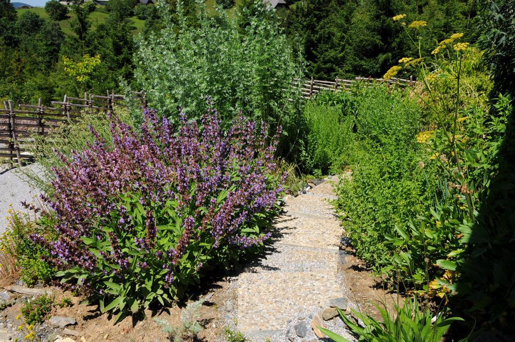Sulamith Ferienhaus Mit Garten Sankt Kathrein am Offenegg Kültér fotó