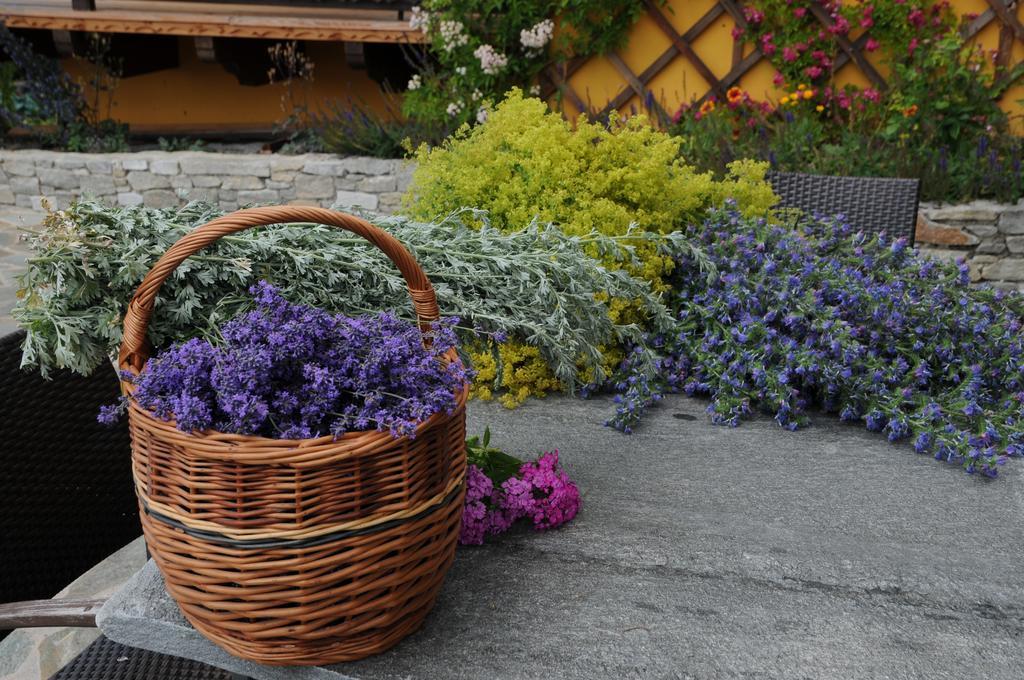 Sulamith Ferienhaus Mit Garten Sankt Kathrein am Offenegg Kültér fotó